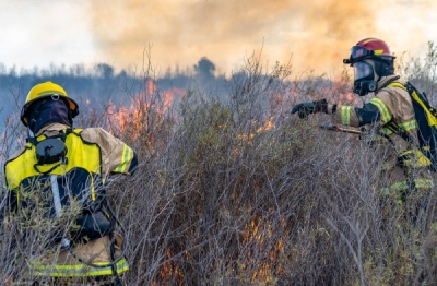 Forest Fire Prevention