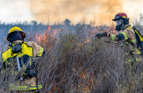 Long-Range Wireless Data Transmission